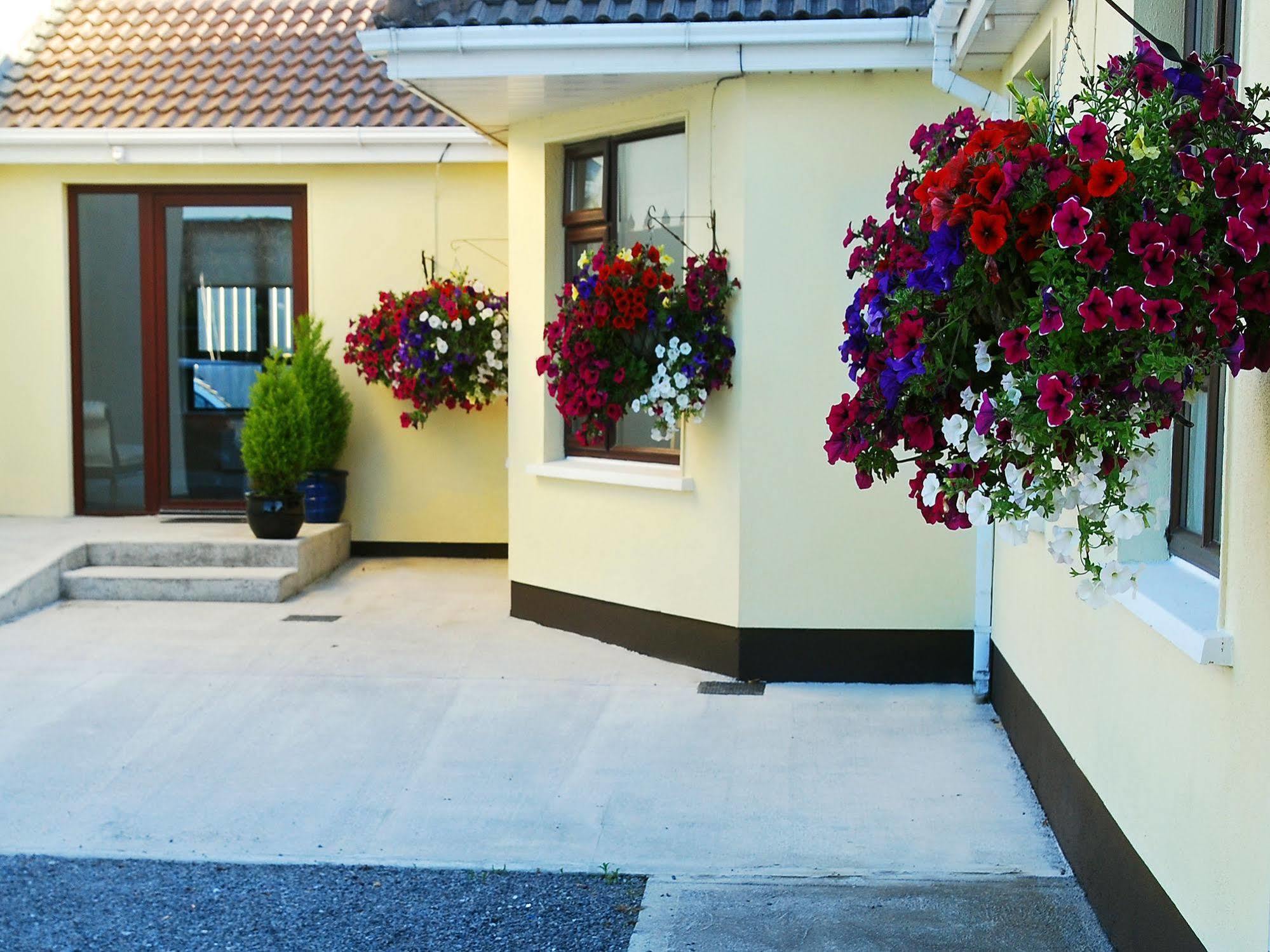 Апартаменты Hillview Self Catering Lusk Экстерьер фото